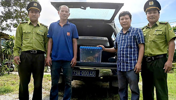 Phong Nha-Kẻ Bàng tiếp nhận 4 cá thể động vật hoang dã nguy cấp, quý hiếm  -0