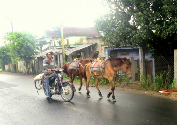 Tiếng vó ngựa trên Gò Thì Thùng -0