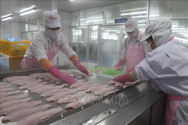 Vietnam's H1 seafood exports hit 4.4 billion USD -0