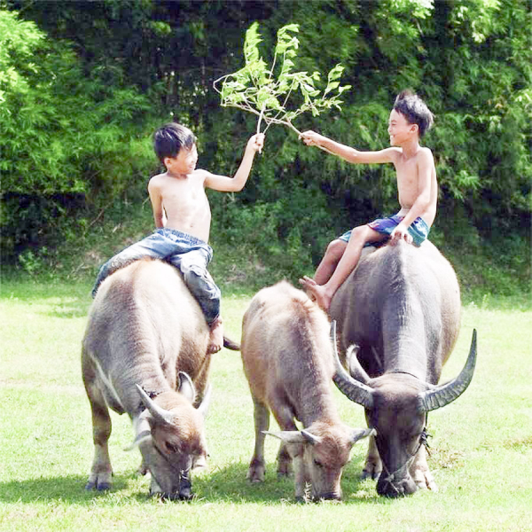 Kí ức tháng Bảy -0