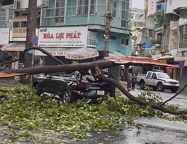 Hàng loạt sự cố xảy ra trong cơn mưa to, gió mạnh -0