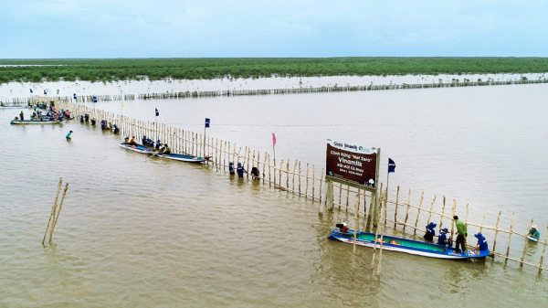 Chương trình Net Zero của Vinamilk dành giải thưởng doanh nghiệp trách nhiệm Châu Á -0