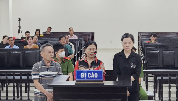 Một gia đình ở Bạc Liêu nhận 43 năm tù do làm sổ đỏ giả để lừa đảo -0