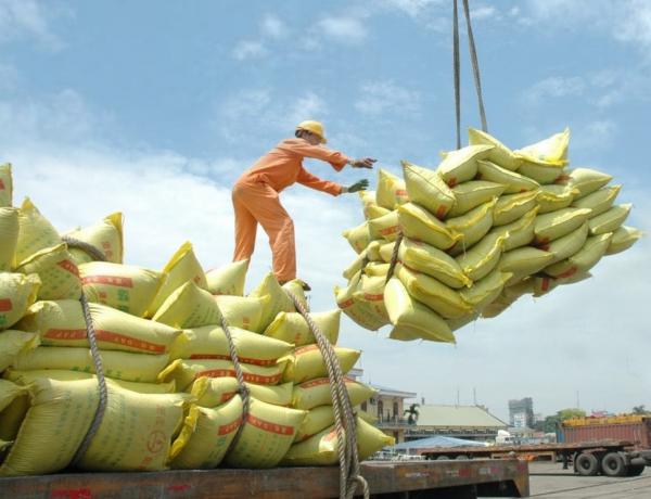 Rice exports to set record turnover of 5 billion USD in 2024 -0