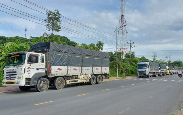 CSGT Công an Đồng Tháp phát hiện, xử lý 7 ôtô tải vượt trên 100% tải trọng cho phép -0