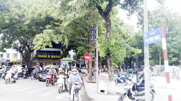 Nhịp phố bốn mùa hoa -0