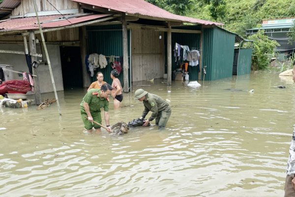 Công an Lào Cai giúp nhân dân di chuyển đến nơi an toàn do thủy điện xả lũ -1