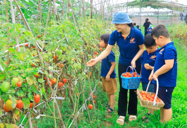 Vĩnh Phúc: Yên Lạc về đích sớm huyện nông thôn mới nâng cao -0