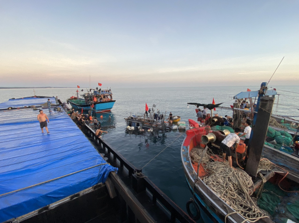 Tàu cá va chạm với tàu hàng ở cửa biển, 11 ngư dân được cứu sống  -0