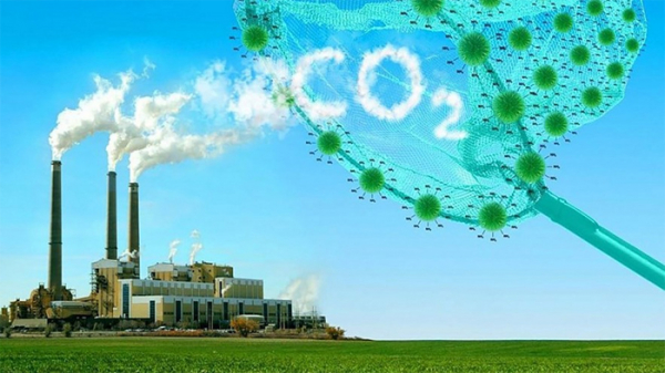 Xây dựng và triển khai Đề án ứng phó với cơ chế điều chỉnh biên giới carbon -0
