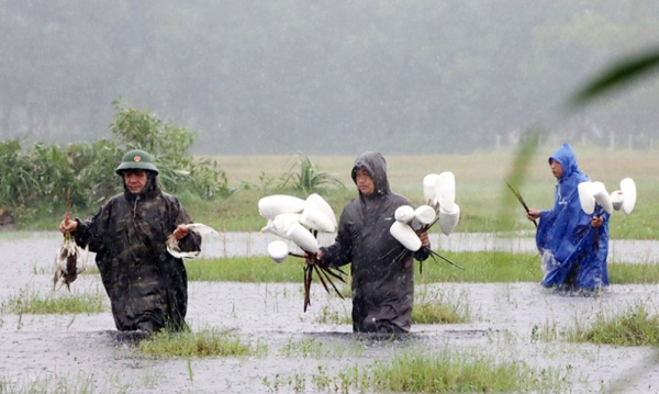 lực lượng ccông an tại hà tĩnh dầm mưa để phá bẫy, tịch thu các hình nộm người dân sử dụng để bắt chim trời-ảnh thiên thảo báo cand.jpg -0