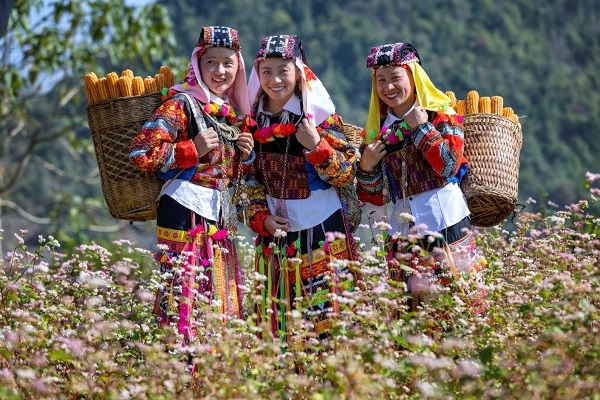 Hà Giang được vinh danh điểm đến văn hóa khu vực hàng đầu châu Á -0