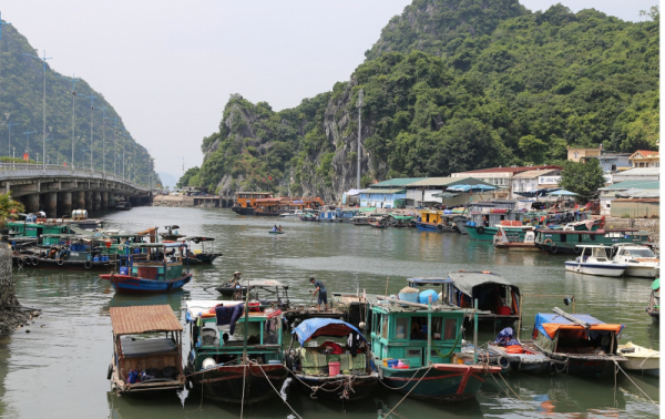 Các đơn vị, địa phương chủ động ứng phó bão YAGI -0