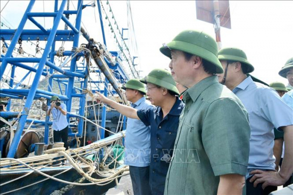 Phó Thủ tướng Trần Hồng Hà: Chủ động phòng chống gió mạnh, vùng hoàn lưu lớn và nguy cơ sạt lở cao trên diện rộng -0