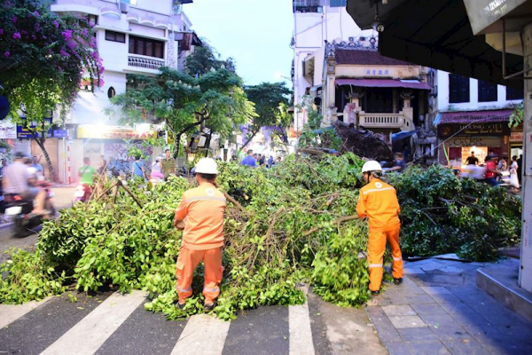 EVNHANOI phòng chống bão trên tinh thần 4 tại chỗ -0