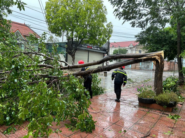 Công an Quảng Ninh thiệt hại -0