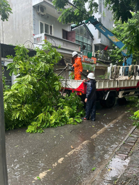 Cây đổ, nhiều khu vực tại Hà Nội mất điện -4