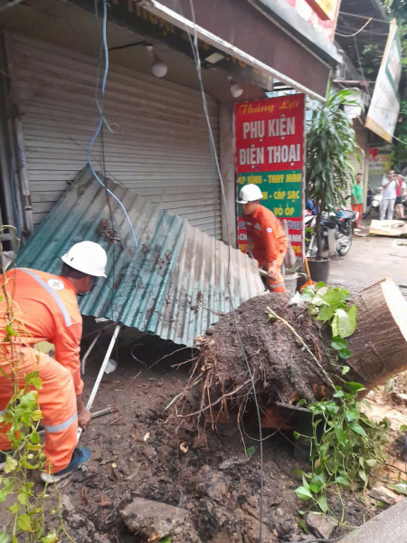 Cây đổ, nhiều khu vực tại Hà Nội mất điện -0