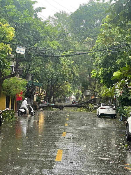 Hà Nội : Gió tăng cấp, khuyến cáo người dân không ra khỏi nhà, tạm dừng hoạt động vận tải công cộng buýt và metro -0