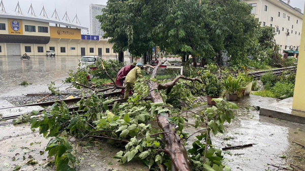 Bão vào đất liền, nhiều cây đổ chắn ngang đường sắt, dừng 22 chuyến tàu khách -0