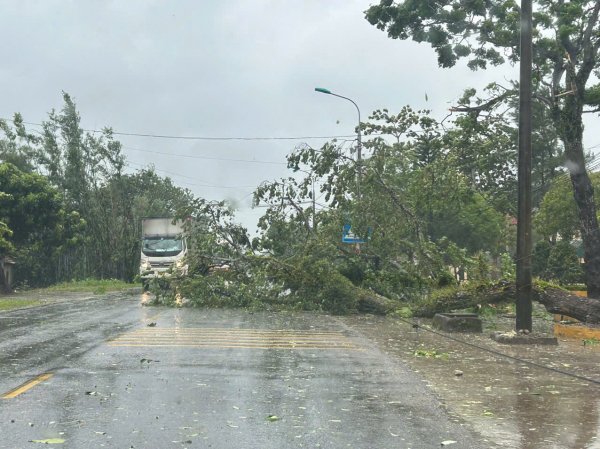 Ảnh hưởng bão số 3, nhiều địa phương tại Hải Phòng, Quảng Ninh mất điện -0