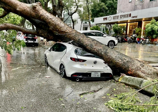 Hà Nội: bão số 3 đã khiến 7 người thương vong, hơn 400 cây xanh gãy, đổ -0