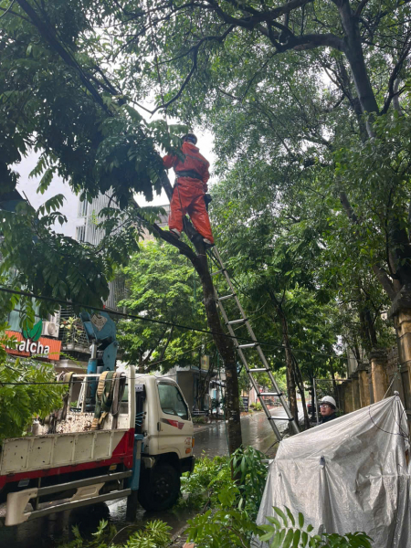 Cây đổ, nhiều khu vực tại Hà Nội mất điện -9