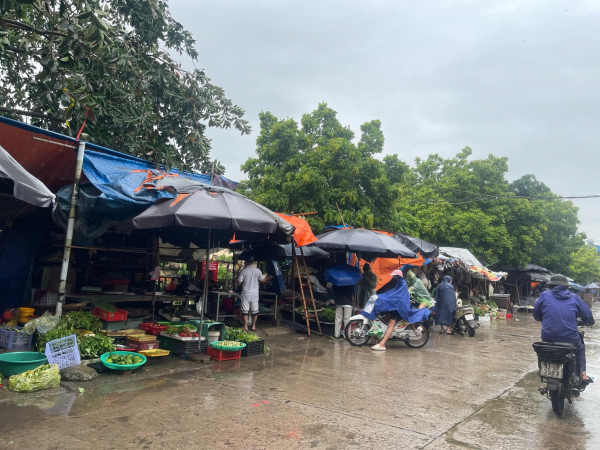 Sáng 8-9: Giá rau xanh đắt gấp đôi ngày thường, cung ứng hàng hóa thiết yếu có nơi bị ảnh hưởng -0