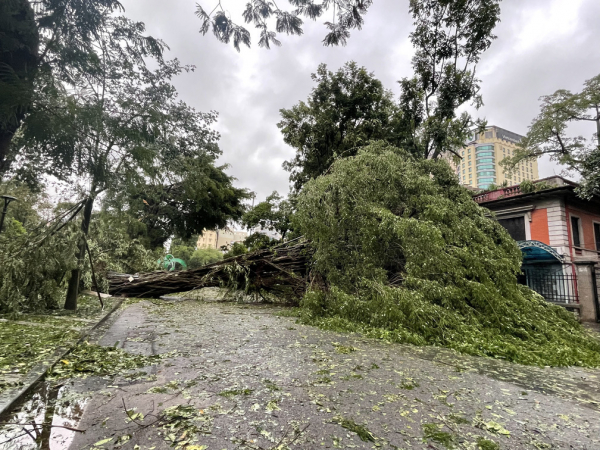 Hà Nội: Sau bão Yagi, khi nào phương tiện công cộng hoạt động trở lại? -0