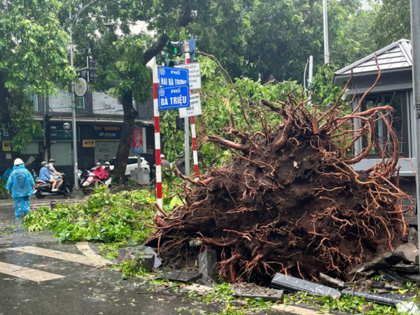 Hà Nội: Hơn 14.000 cây xanh bị đổ,  -0