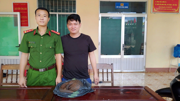 Bắt được hai con tê tê quý hiếm, người dân bàn giao cho cơ quan Công an -0