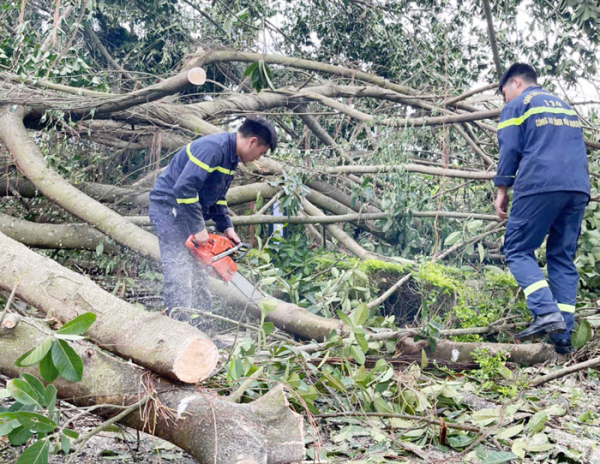 TP Hải Dương, TP Chí Linh ra quân triển khai khắc phục sự cố, dọn dẹp vệ sinh ở các trường học, cơ quan… -2