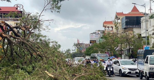 Hải Phòng vẫn ngổn ngang sau bão -0