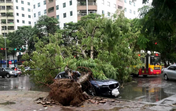 Những việc cần làm ngay để hưởng quyền lợi bảo hiểm sau bão -0