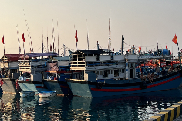 tàu 67 2.jpg -0