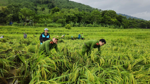 Công an tỉnh Thanh Hóa hỗ trợ nhân dân khắc phục hậu quả bão Yagi -0