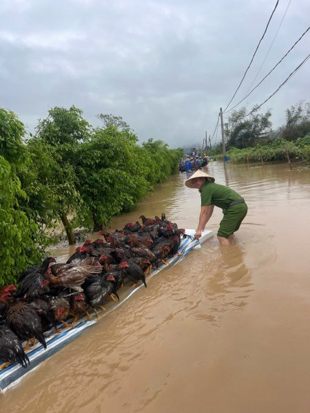 “Vỡ đê” ở Hải Dương là thông tin không chính xác -0