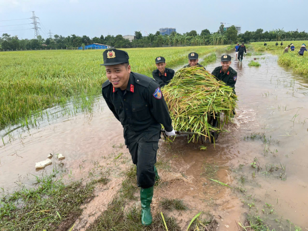 Di dời, đảm bảo an toàn sức khỏe, tài sản cho người dân vùng trũng. -0