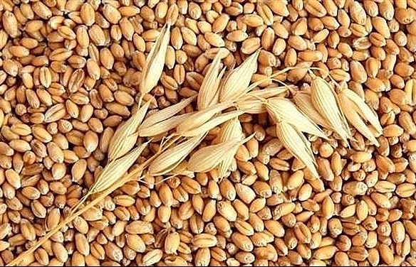 Vietnam spends over US$1 billion importing wheat in eight months -0