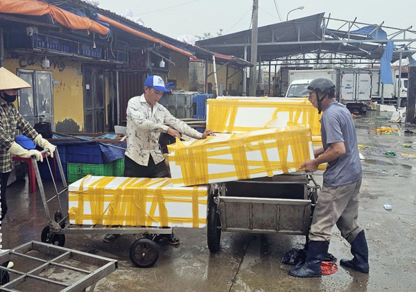 Ngư dân vùng tâm bão kiên cường vượt  khó khăn để khắc phục hậu quả -0