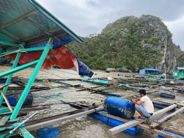 Ngư dân vùng tâm bão kiên cường vượt  khó khăn để khắc phục hậu quả -0