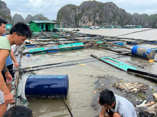 Ngư dân vùng tâm bão kiên cường vượt  khó khăn để khắc phục hậu quả -0