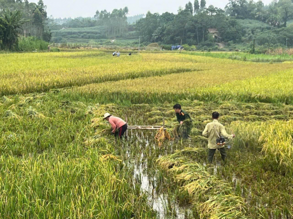 công an huyện phù ninh 3.jpg -1