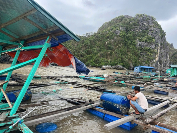 Thiệt hại gần 11 nghìn tỷ đồng do bão, Hải Phòng tập trung khắc phục -0