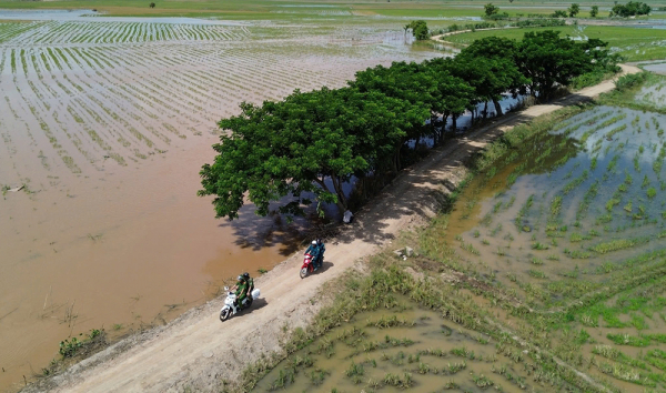 Bình yên tuyến biên giới Tây Nam -0