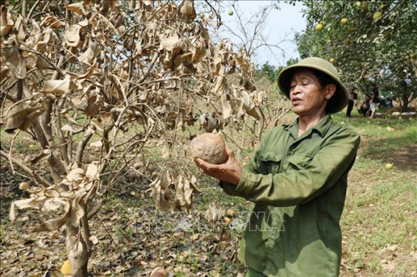 Khẩn trương ban hành Thông tư hướng dẫn cơ cấu nợ cho khách hàng bị ảnh hưởng bởi bão Yagi -0