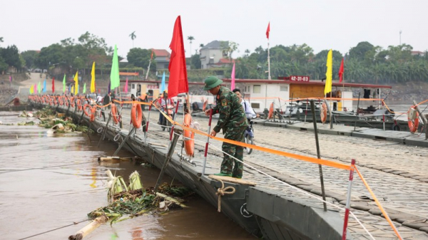 Cầu phao Phong Châu tạm dừng hoạt động do nước sông Hồng dâng cao -0