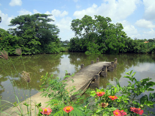 Trong, đục ao làng... -0