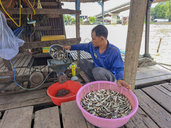 Nhộn nhịp chợ cá vùng biên -0