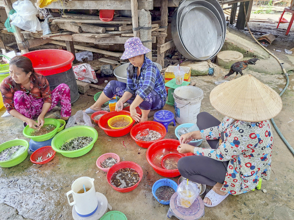 Nhộn nhịp chợ cá vùng biên -0